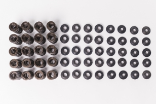 CatCams Valve Spring Kit for Audi TTRS and RS3